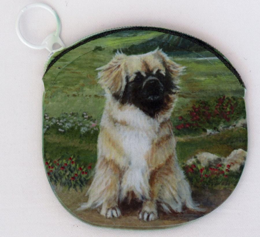 Tibbie 1B coin purse - side 1